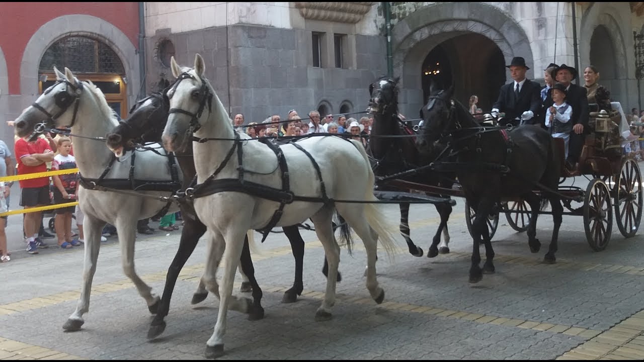Konji i petopreg (pripreme za Dužijancu), Grgo Tikvicki - Subotica moj grad Smiljan Njagul K23