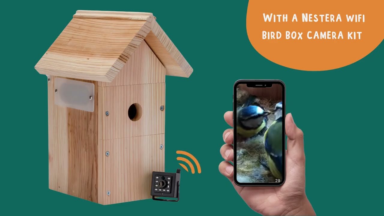 Nestera WiFi Bird Box camera system - quick presentation