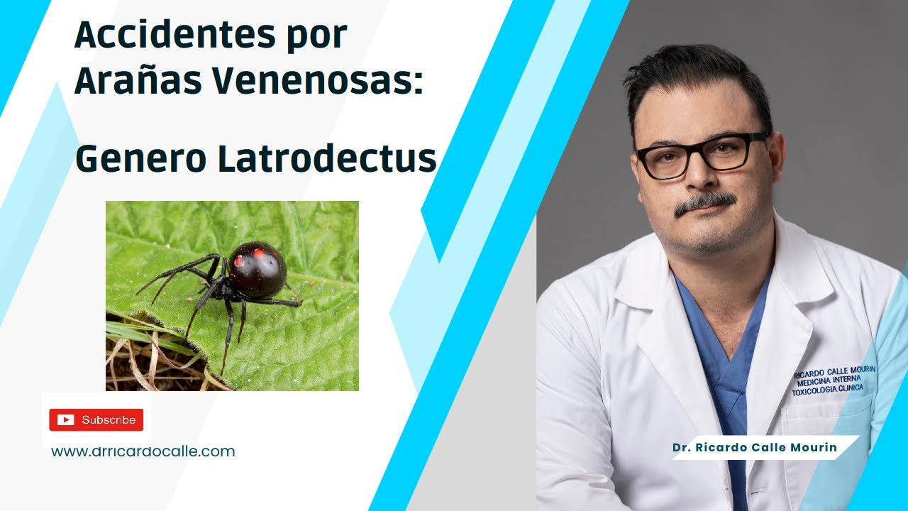 Mordedura por Arañas en Ecuador | Genero Latrodectus