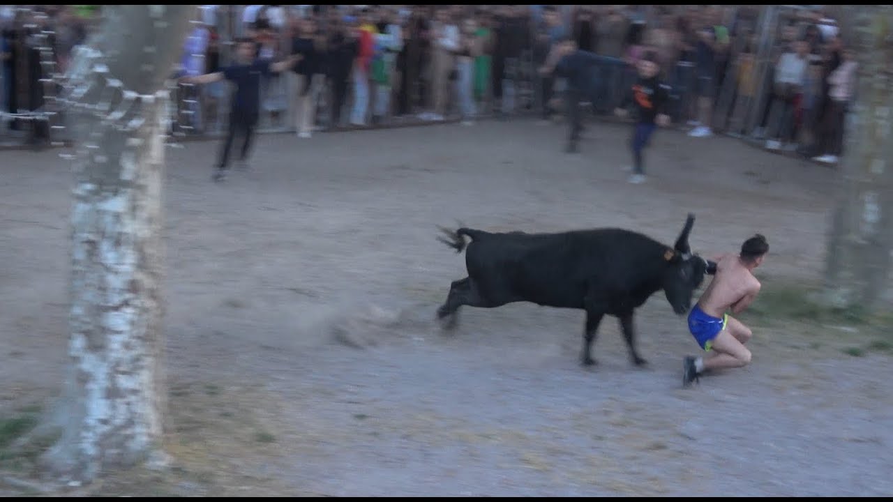 PIGNAN - Encierro les 5 et 6 mai 2023.