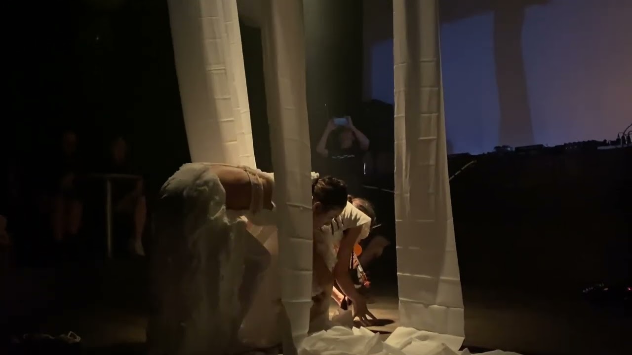Shibari &times; Dance &times; Violin Peformance