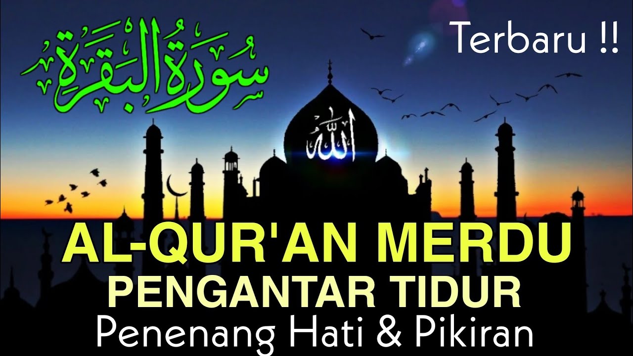 Al Quran Merdu Pengantar Tidur Surat Alfatihah Al Baqarah Penenang Hati & Pikirann