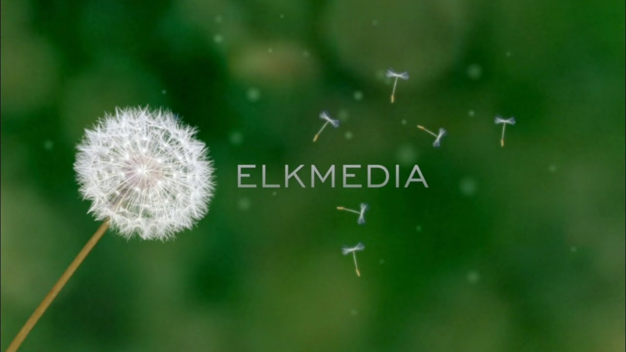elkmedia | kommunikation & medien