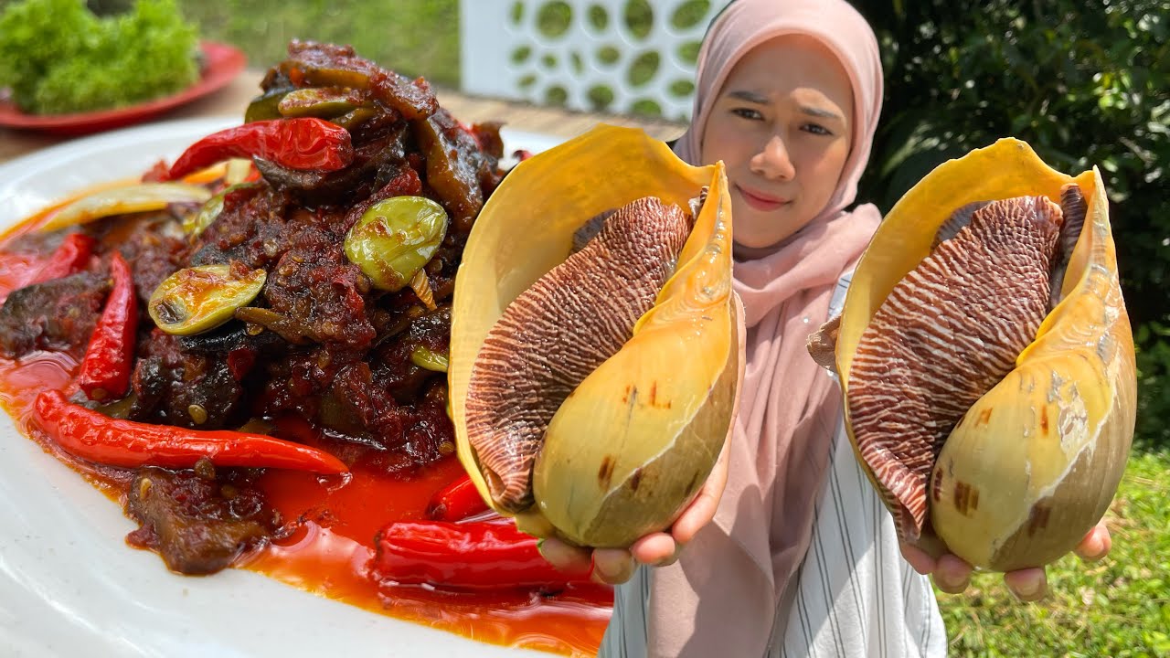 SIPUT LAUT BERCILI PETAI | PERGHH PEDAS BERAPI ‼️ RARE SEA SNAIL
