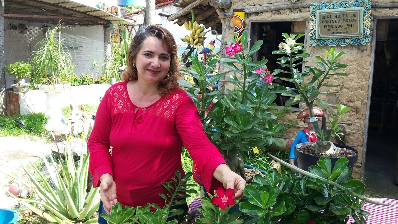 Tempo certo para fazer a primeira poda dá sua rosa do deserto (adenium obesum)
