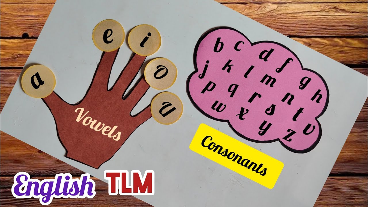 Vowels English Chart/ Vowels And Consonants English TLM/ TLM For Primary school Easy/English Project