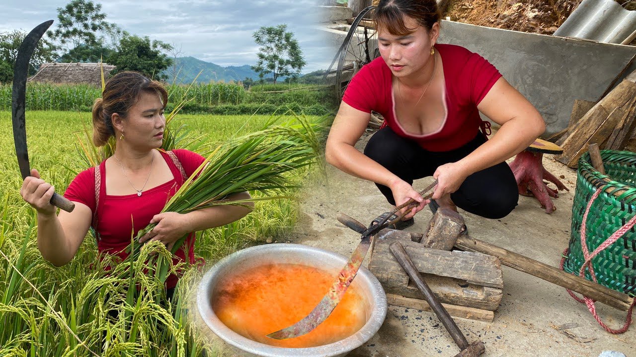 Craft smithy. Recycle old knives into a sickle to harvest rice \ Blacksmith Girl
