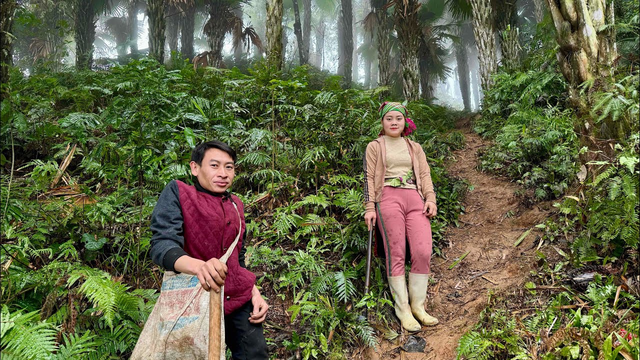 Cùng Cặp Đôi Đũa Lệch Vào Rừng Đào Măng Đầu Mùa | TÀY TV