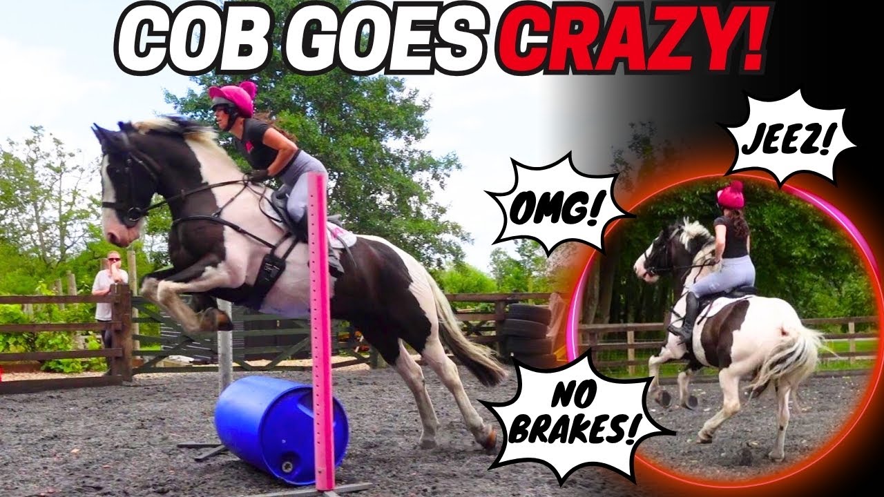 COB GOES CRAZY! | JUMPING A VERY EXCITED PONY WITH NO BRAKES! || VLOG 191