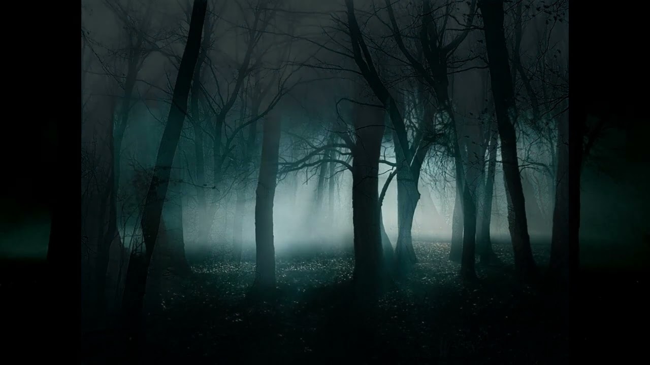 LOST IN FOG