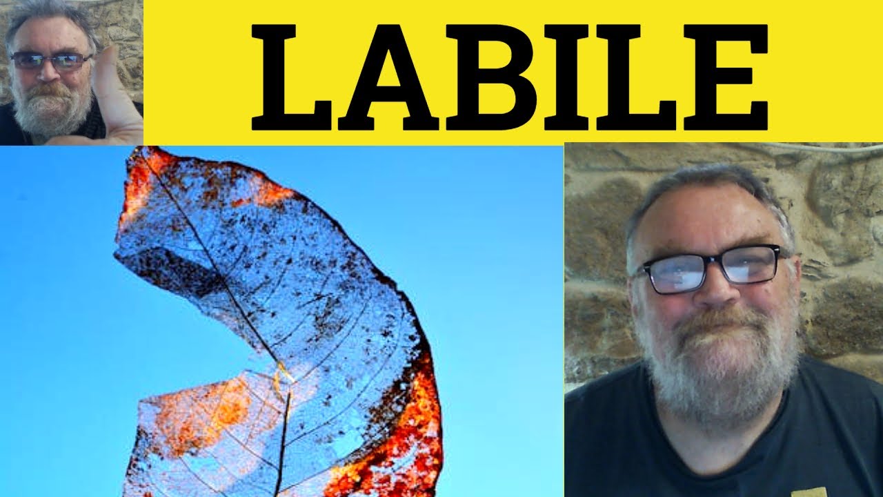 🔵 Labile Meaning - Labile Definition - Lability Examples - Formal Vocabulary - Labile - Lability