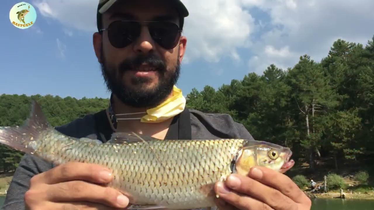 Orman İçi Gölde Balık Avı | Kasna Avı | Light Rock Fishing