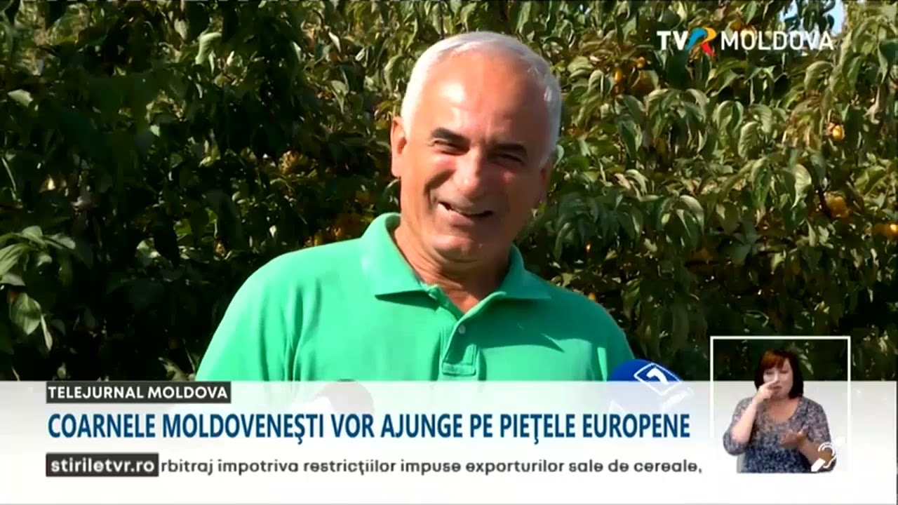 Coarnele cultivate de un agricultor din R. M ar putea ajunge în scurt timp pe piaţa europeană