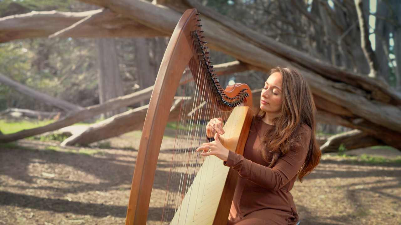 Peaceful Harp in the Cypress Trees (1 Hour) | Sarah Bhalla