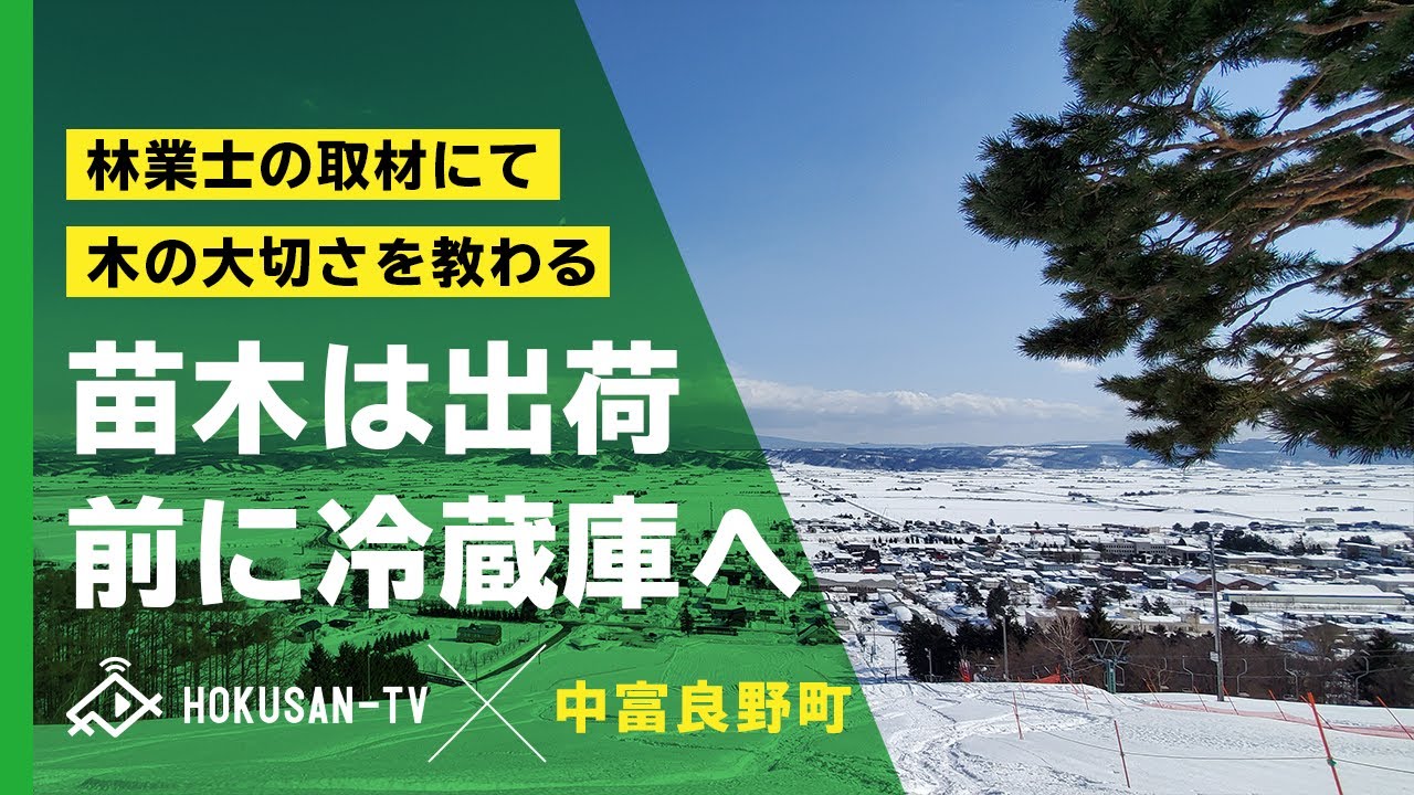 【中富良野町】苗木の林業士から学ぶ木や水の大切さ(種苗会社 安藤山林緑化株式会社)～北海道キャンピングカー冒険 53/179市町村