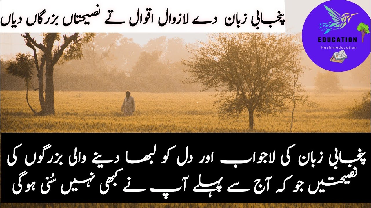 Punjabi Zuban Dy Lazawal Aqwal Ty Nasehatan Quotes | Punjabi Quotes And Advice | Informative Quotes