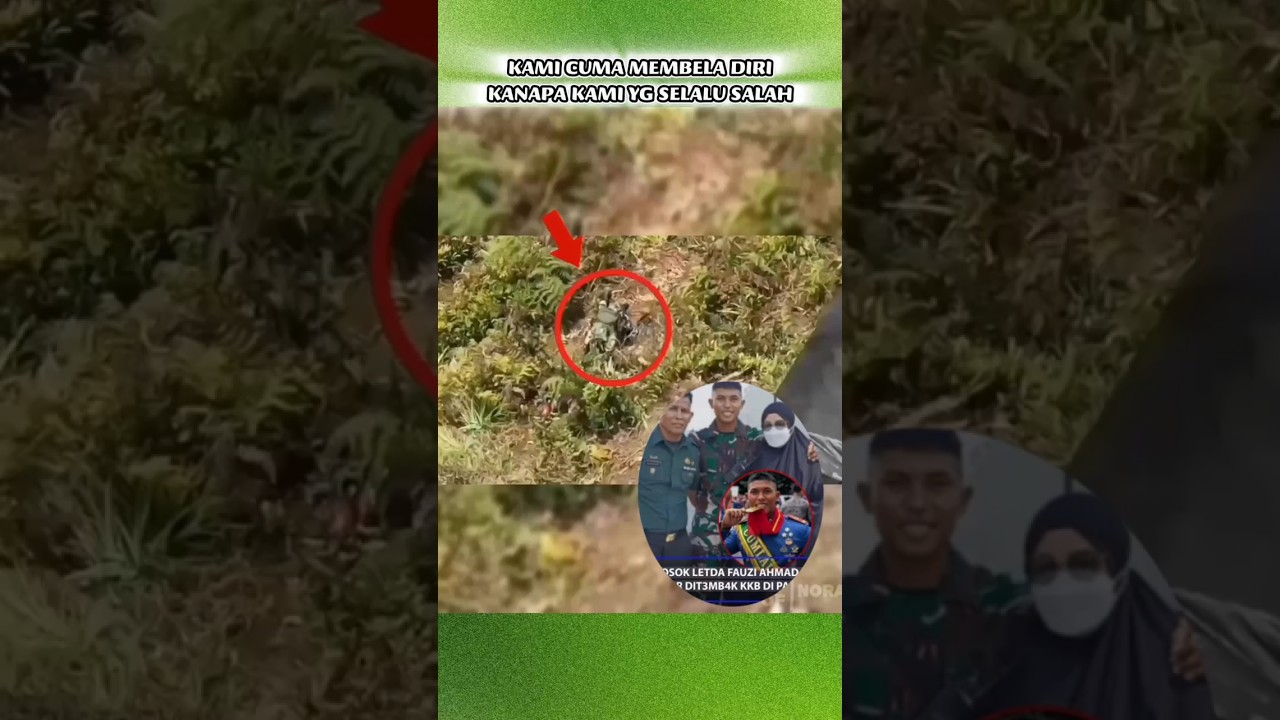 TNI selalu salah, dimana keadilan Ham🥺? #tni #bravotni #opm #papua #trending