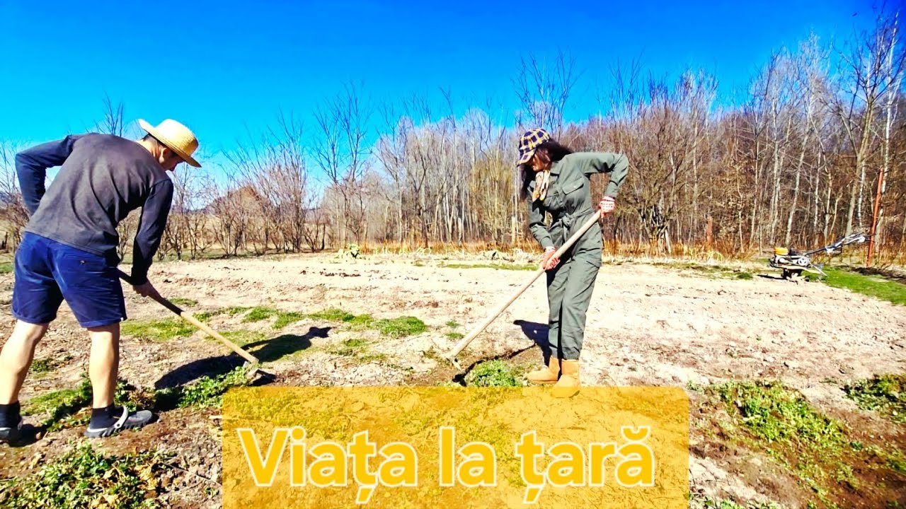 Viața la țară: de la munca câmpului la o cină caldă (Slow Living în România)