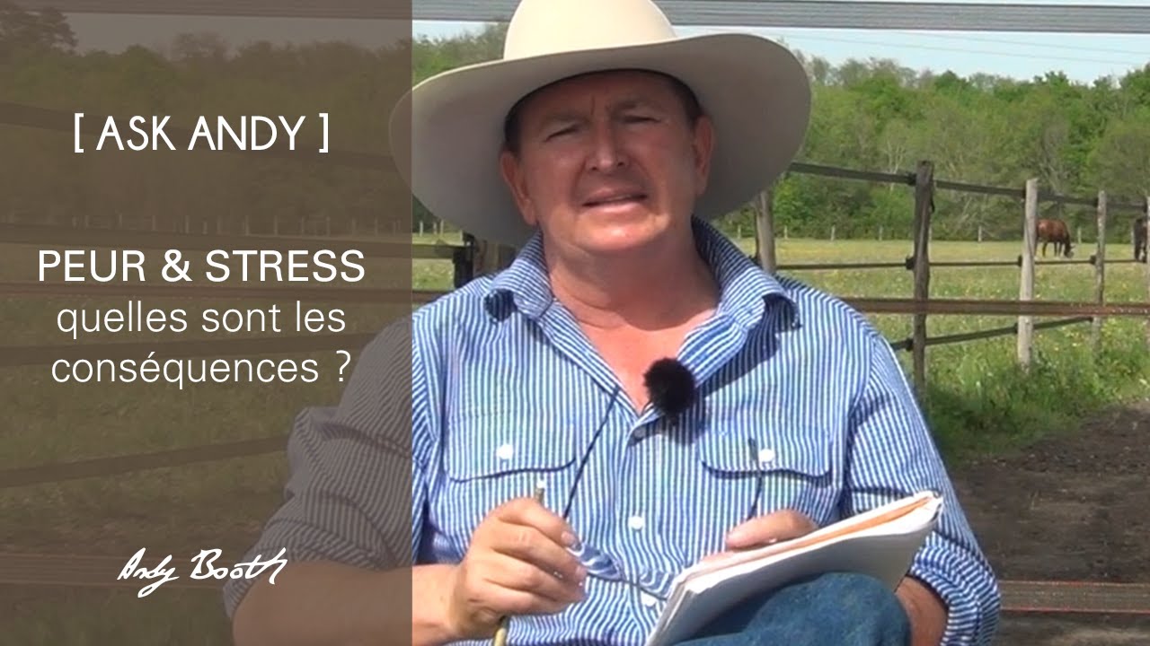 [ASK ANDY] Peur & stress : quelles sont les cons&eacute;quences ?
