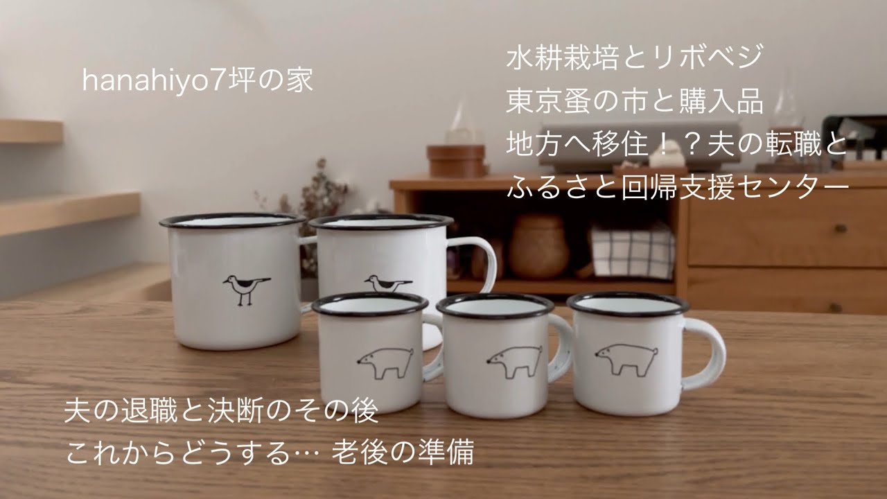 『小さく暮らす』水耕栽培とリボベジ　東京蚤の市と購入品　地方へ移住！？夫の転職と老後の準備