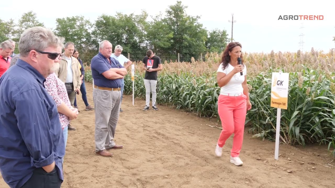Kukorica-, cirok-, szója szakmai nap és fajtabemutató