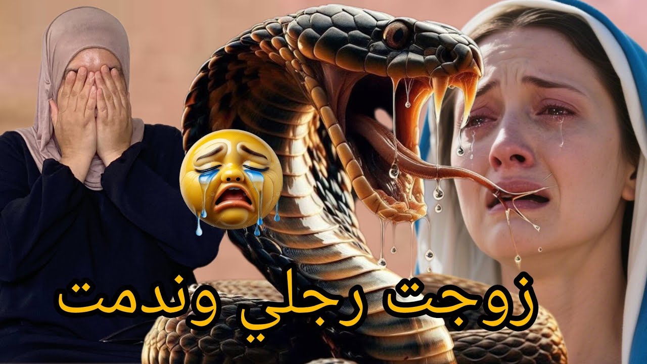ان لي زوجت رجلي في الاخير ندم ولكن رجعت كرمي ةحقي😱😱😱