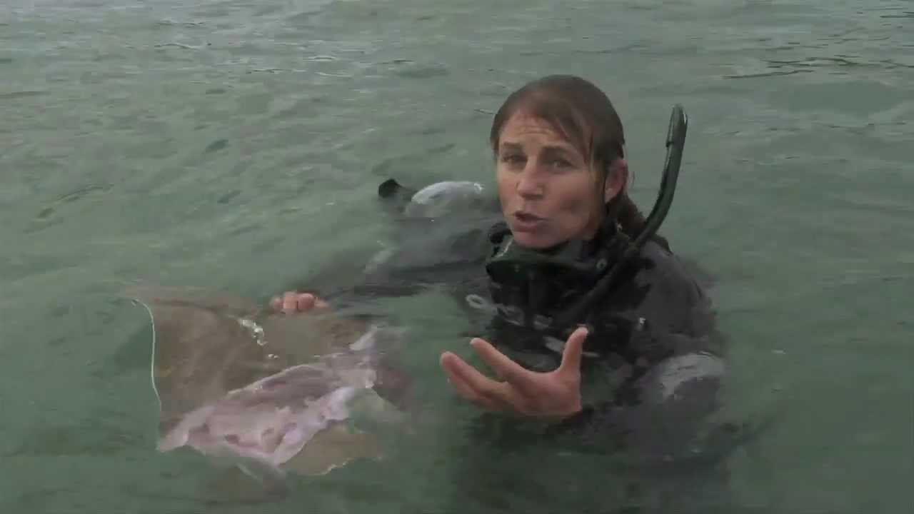 Dr Ingrid N. Visser & the Orca Research Trust Swimming with Orca Killer whales Schwertwal