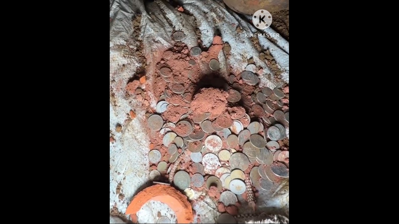 I found the rarest coins 🤑! #ytshorts #viralshorts #rarecoins #treasuresearch #fortunerlover #ytreel