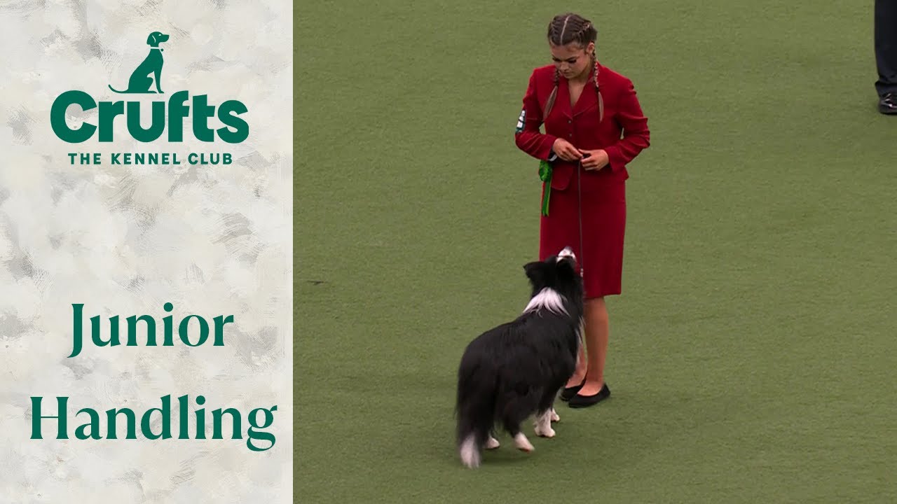You have to see these dogs! 🐶 International Junior Handling Final Judging | Crufts 2024