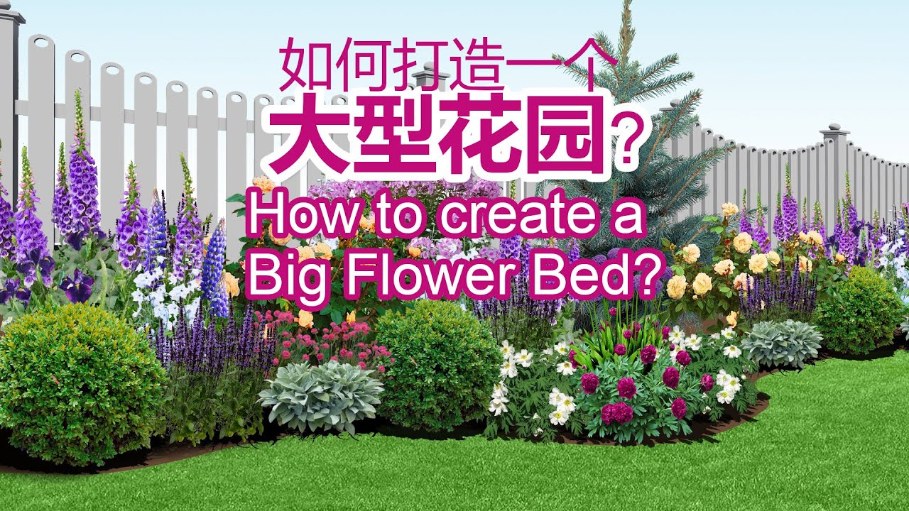 怎样做大花镜的植物搭配？How to create a big flower bed?