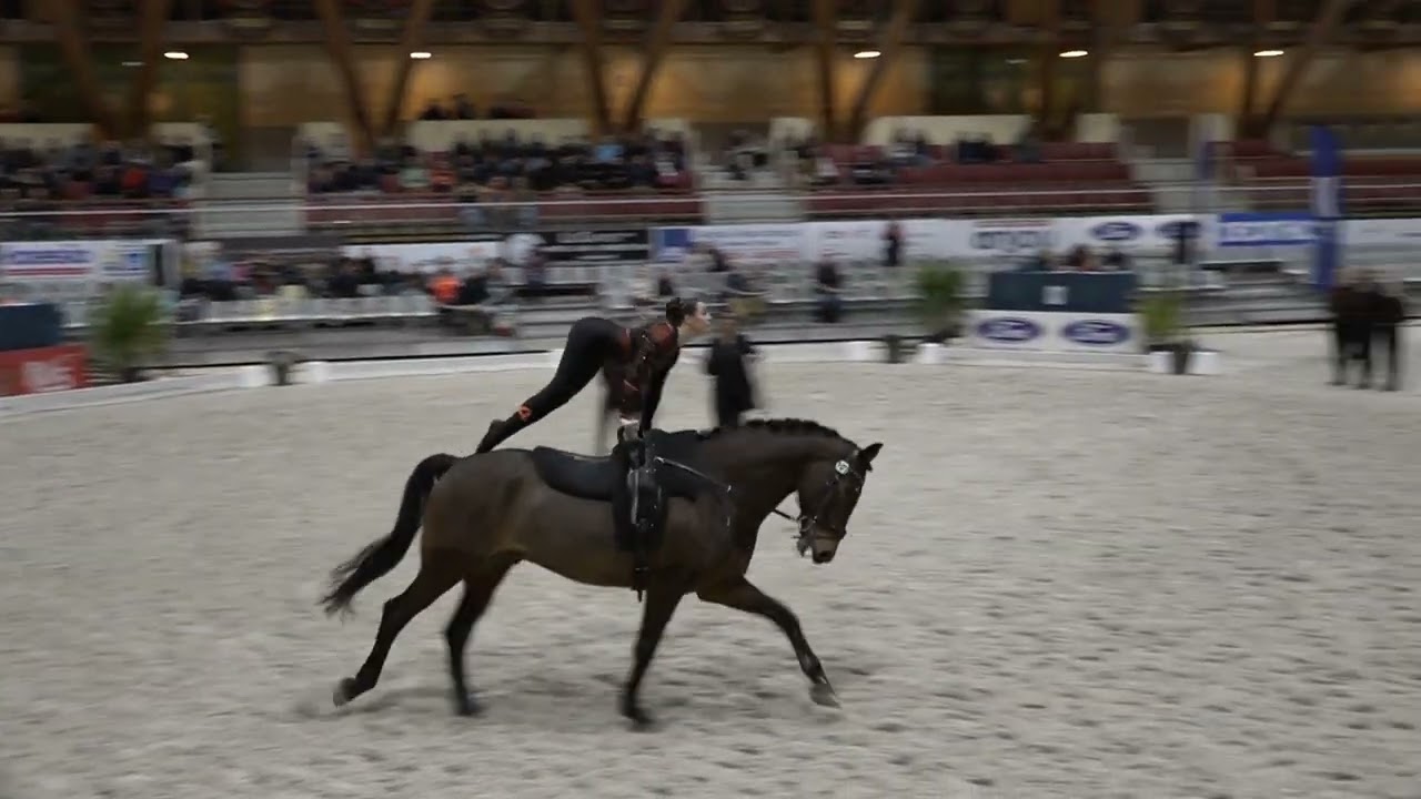 Horst aan de Maas 6
