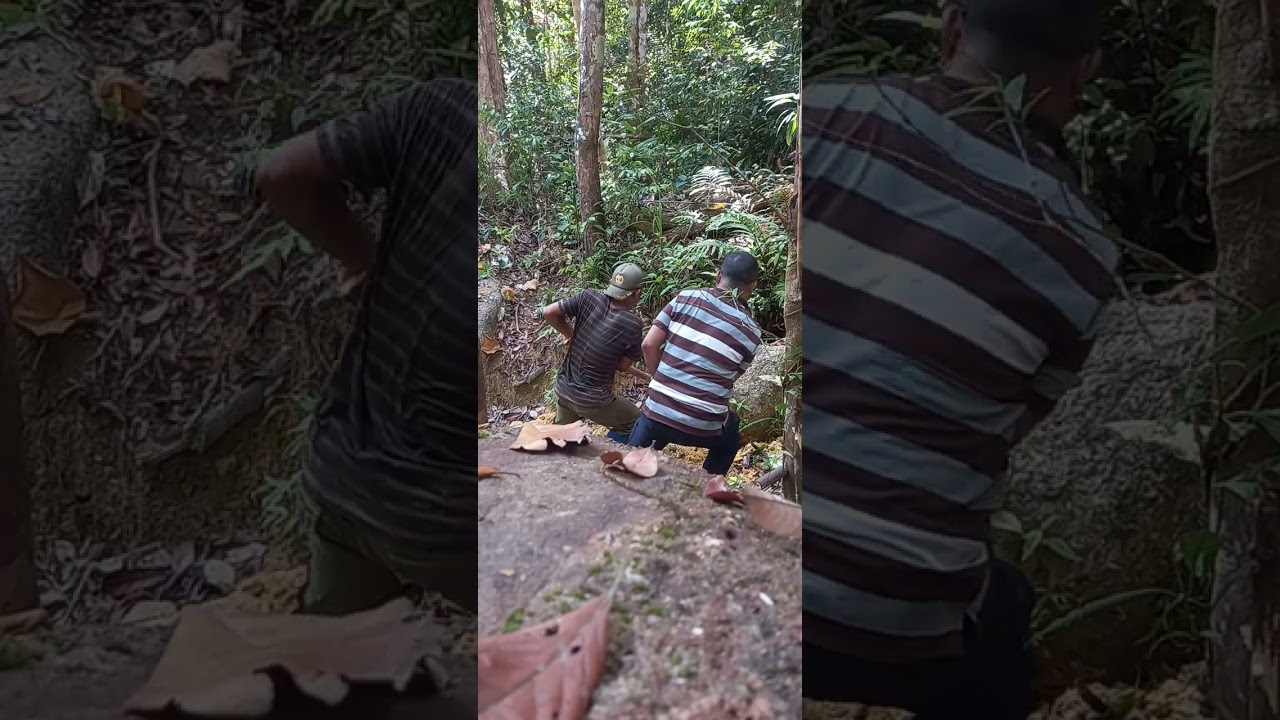 Perjalanan menuju DAM sumber air bersih Desa Sungai Buluh Part 2