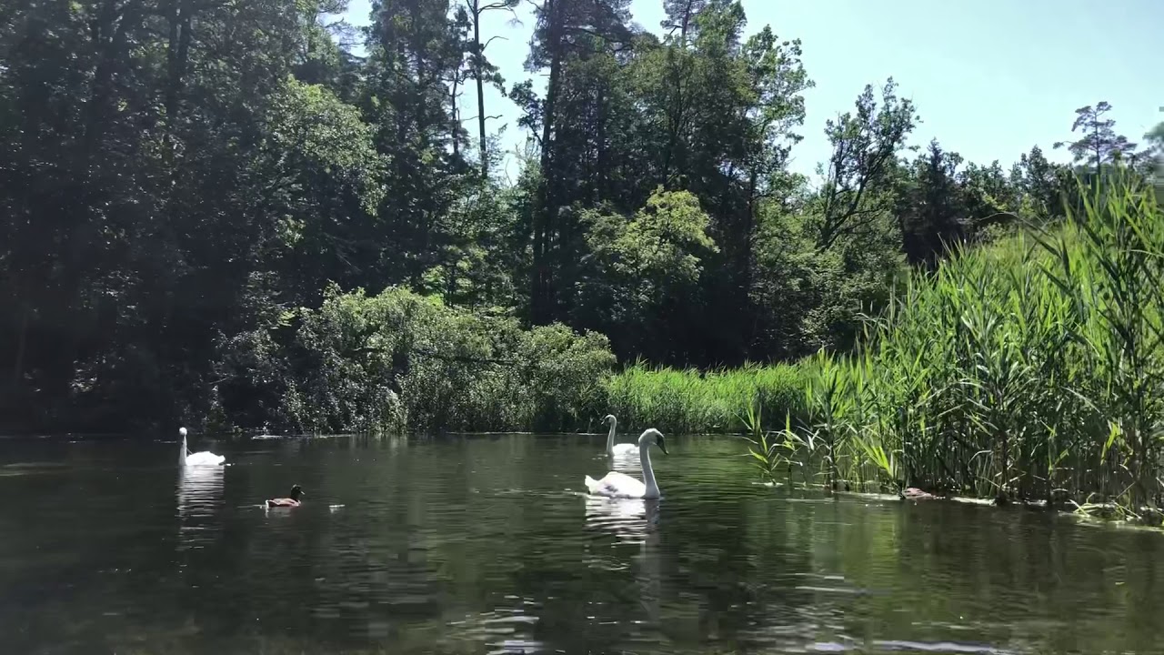 Kayak trip in Poland! Spływ kajakowy rzeką Krutynia. Trasa Zgon - Rosocha #sun #kayak #holiday