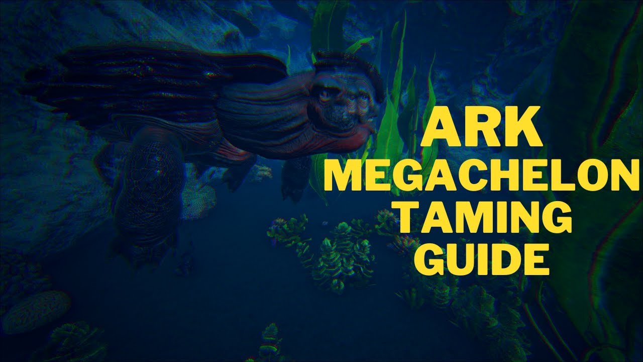 Giant Turtle how to tame a Megachelon Ark Survival Evolved