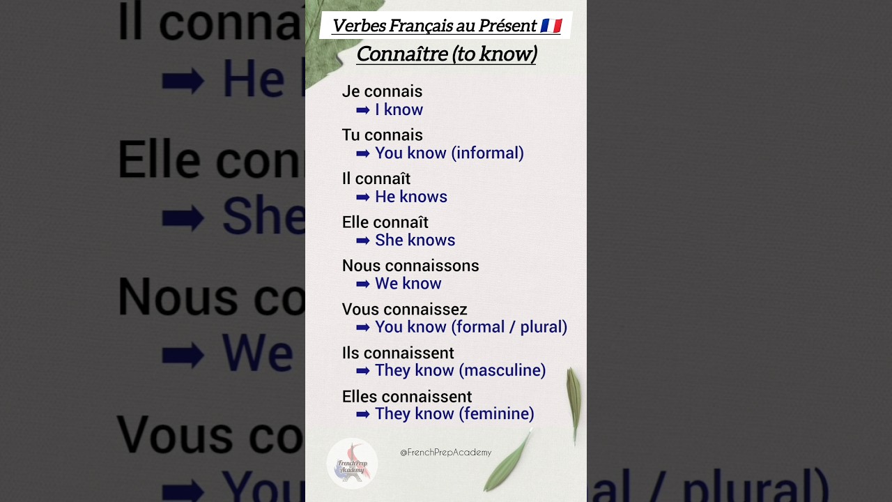 🇫🇷 French Verbs in Present Tense: Connaître & Reconnaître 