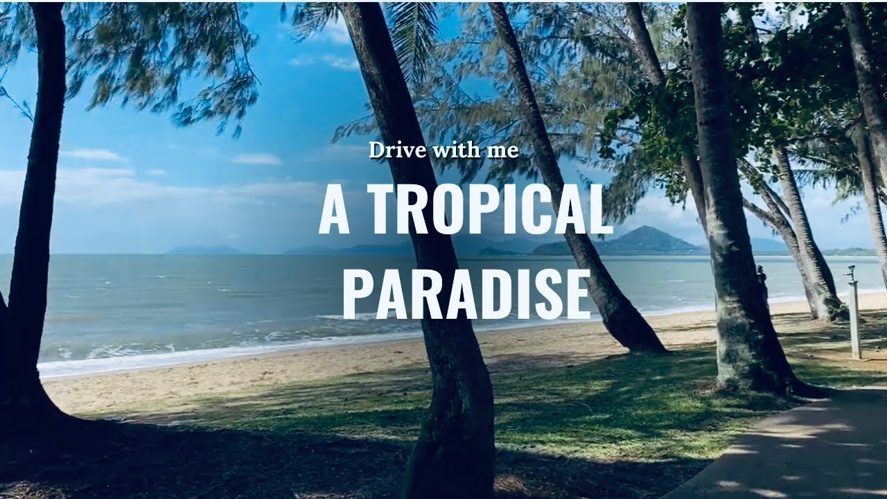 Driving through a tropical paradise || Cairns to Port Douglas