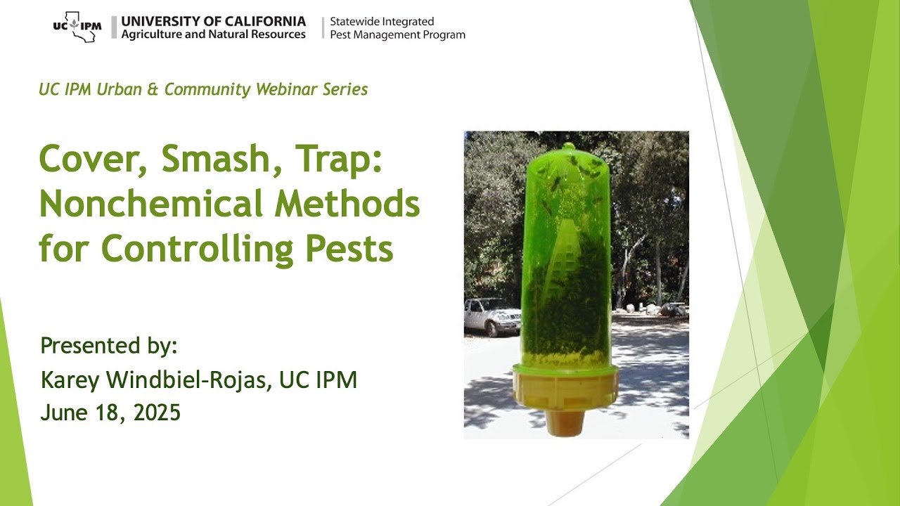 Cover, Smash, Trap: Nonchemical Methods for Controlling Pests