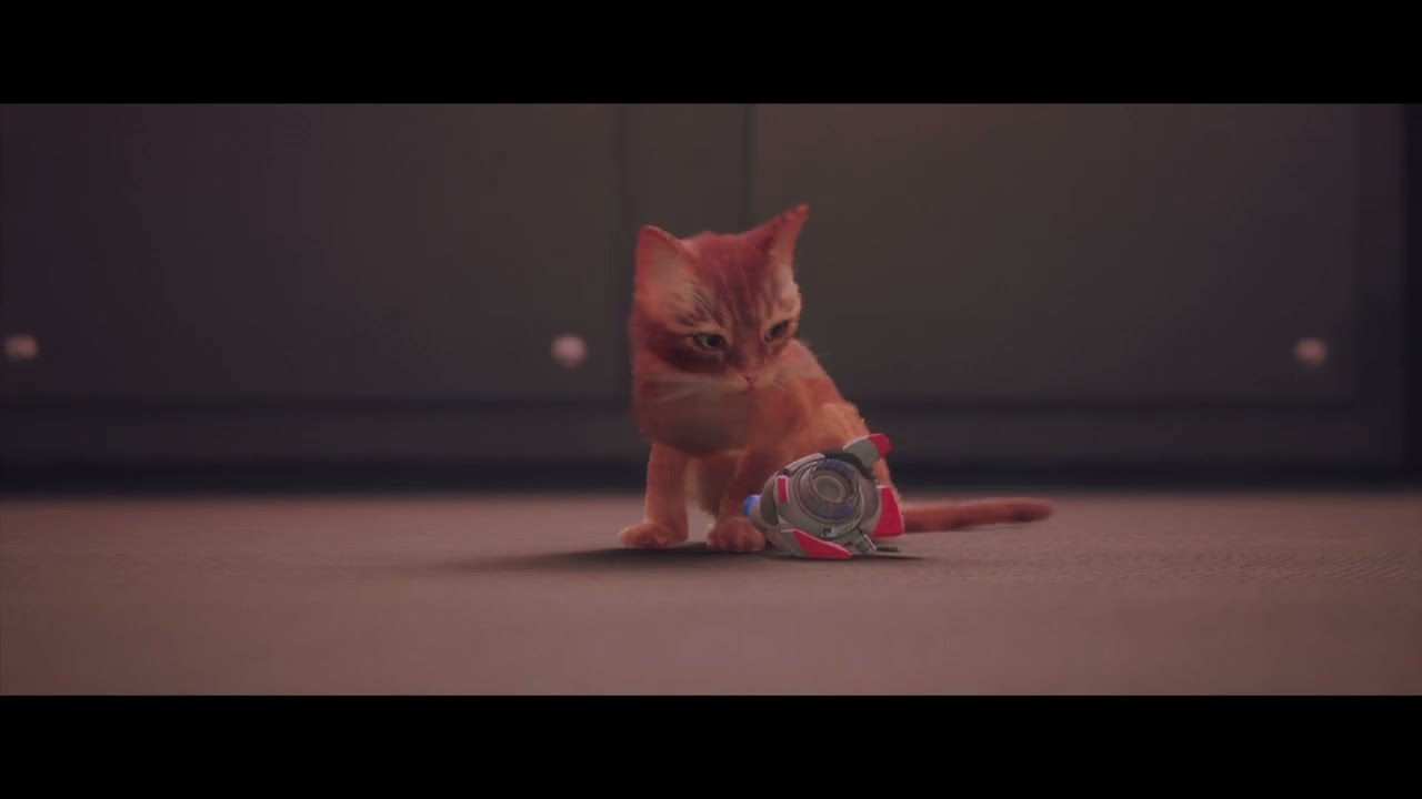 JE SORT ENFIN POUR RETROUVER MES AMIS (Stray) FIN