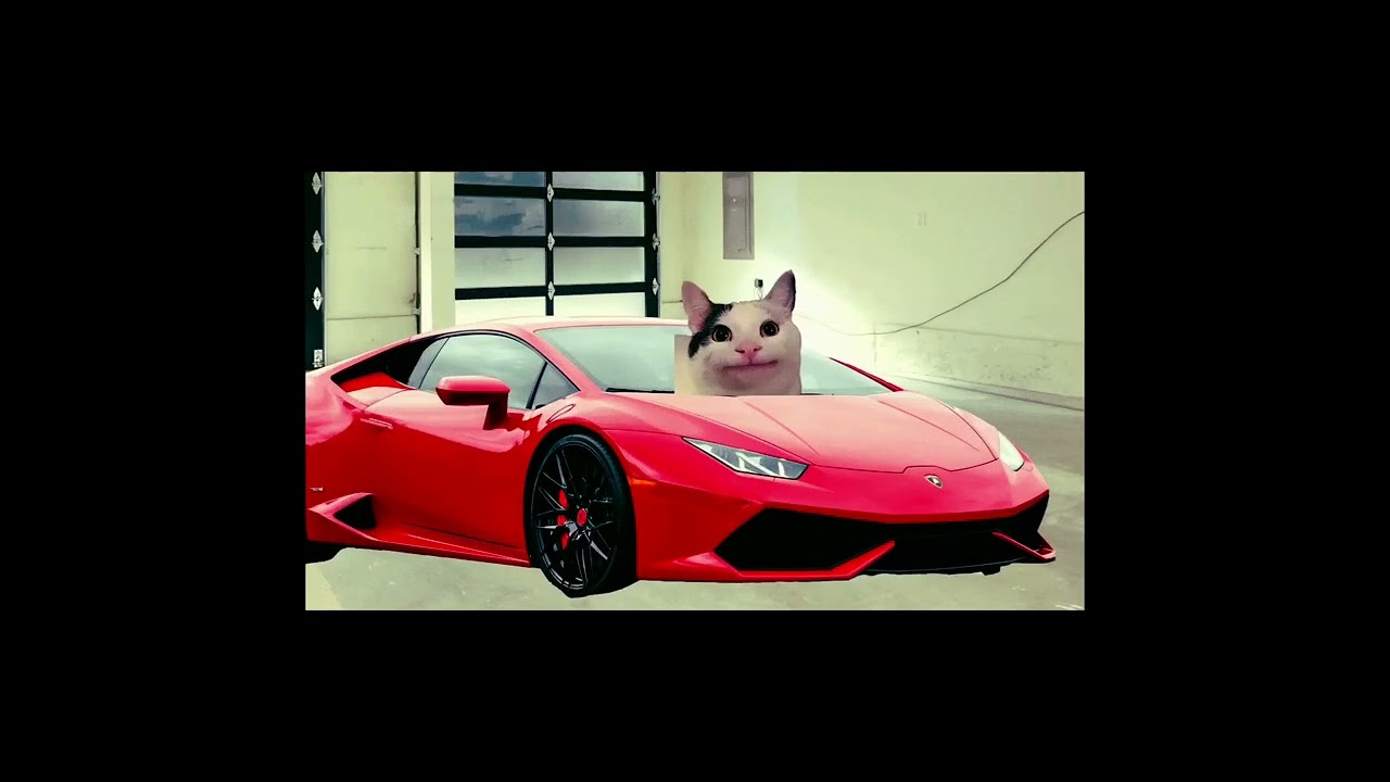 When SUS Beluga Suddenly Disappears...FULL_STORY