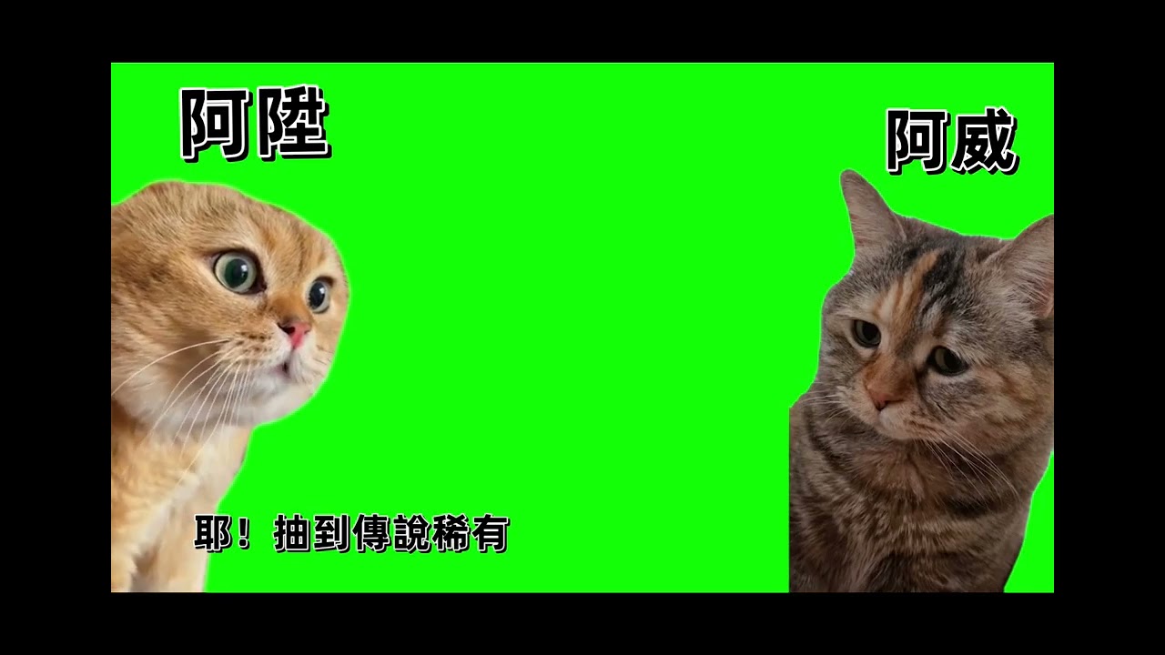 寒假的倒數第2天 突然運氣爆棚！？ 阿威表示這不可能 一個月2隻傳說稀有！？