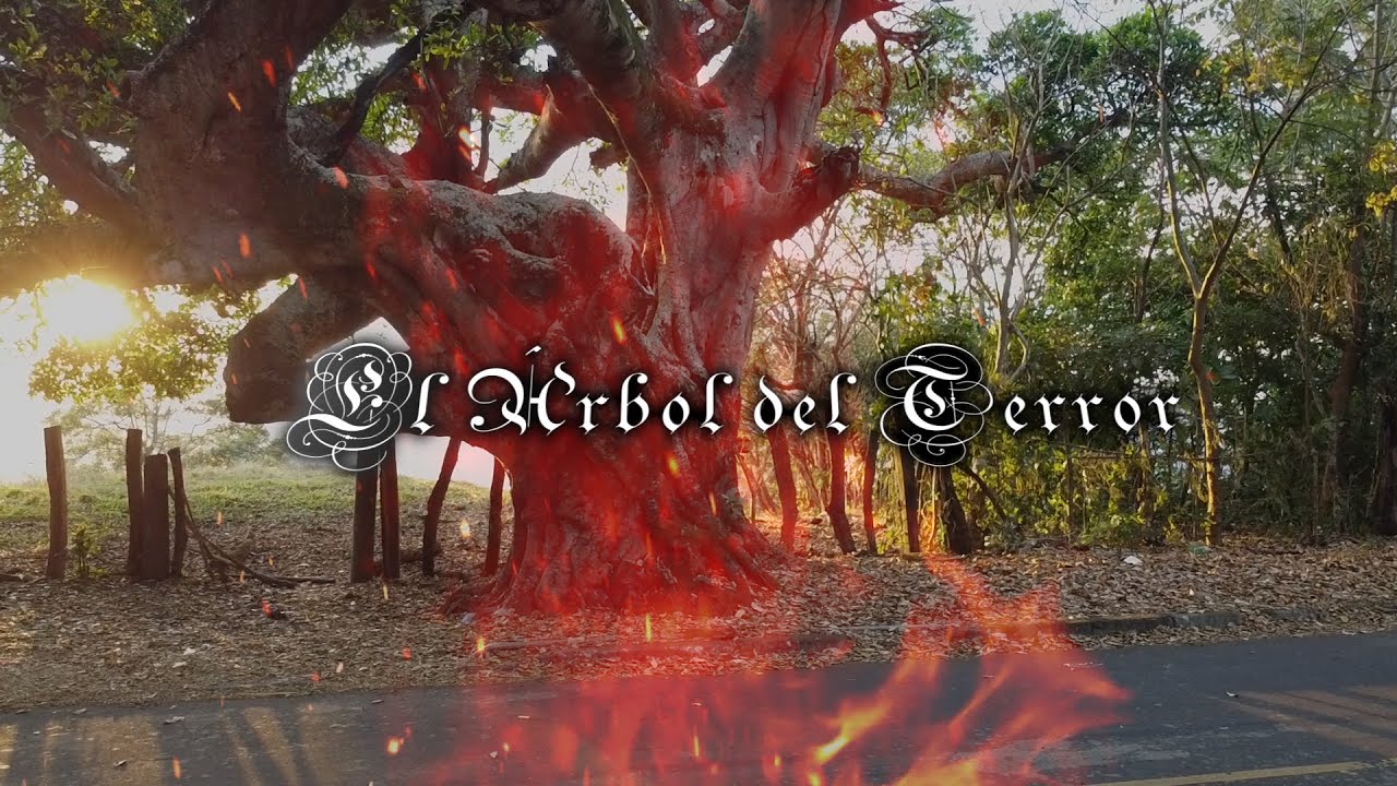 EL ARBOL DEL TERROR