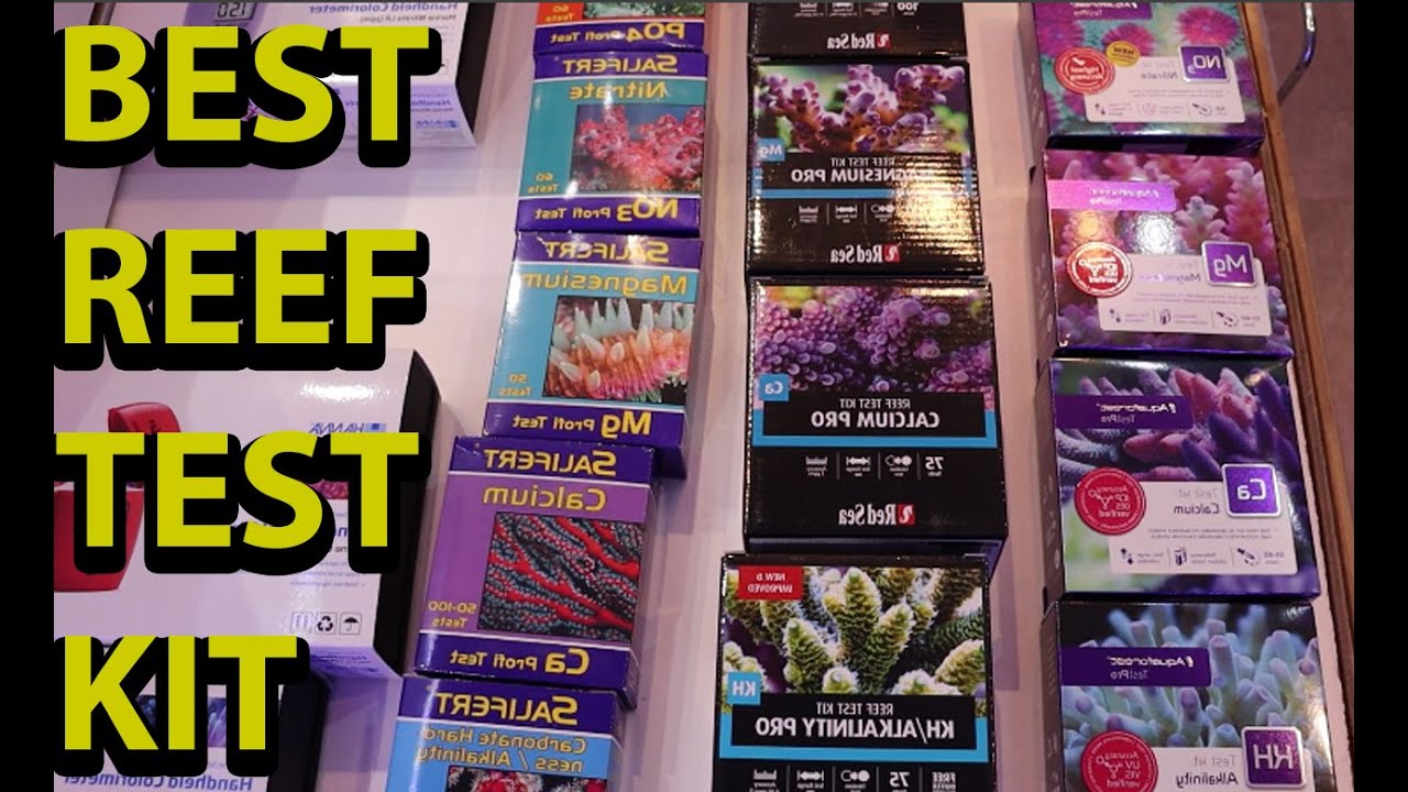 The Best Salt Water Reef Tank Test Kit