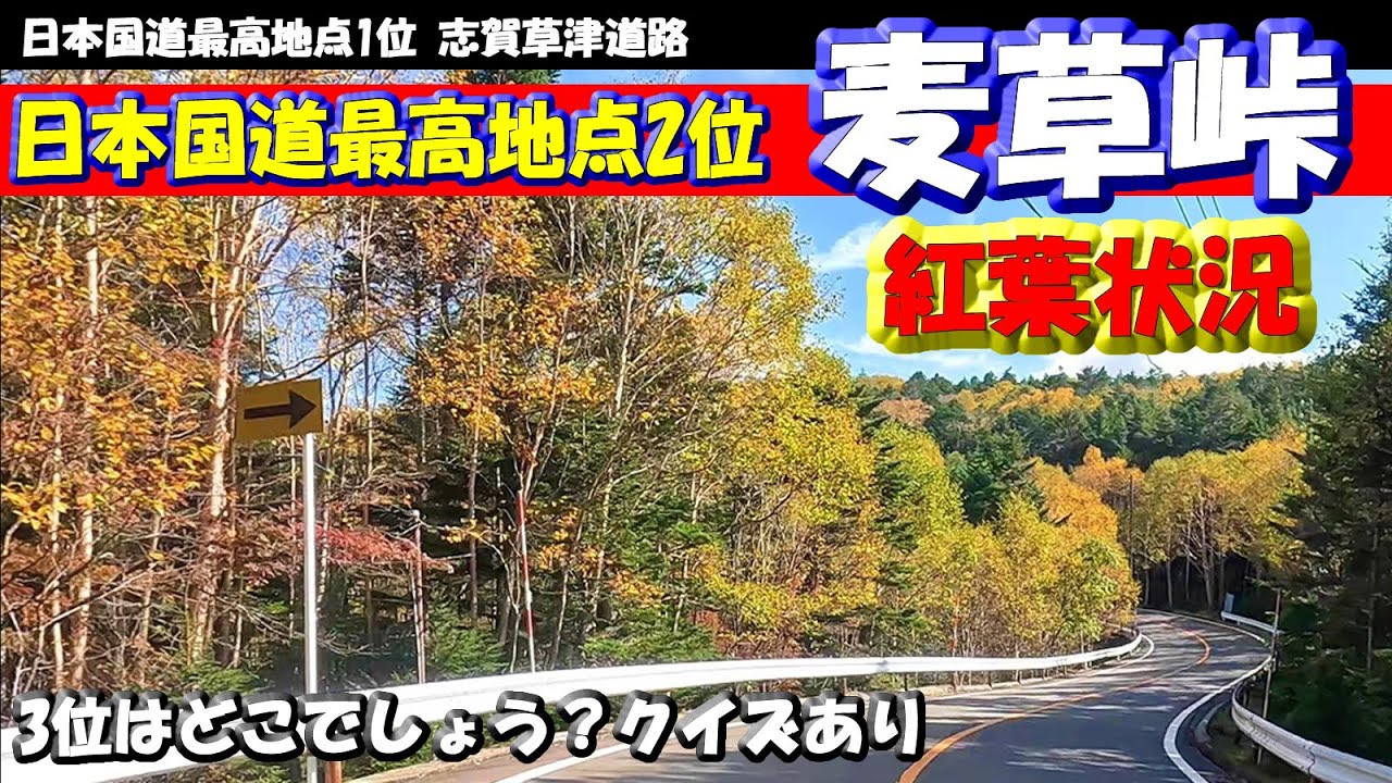 紅葉【麦草峠】2025年10月12日～蓼科高原～白駒の池周辺～八千穂高原スキー場　日本国道最高地点2位国道299号メルヘン街道の紅葉ロードの走行映像 