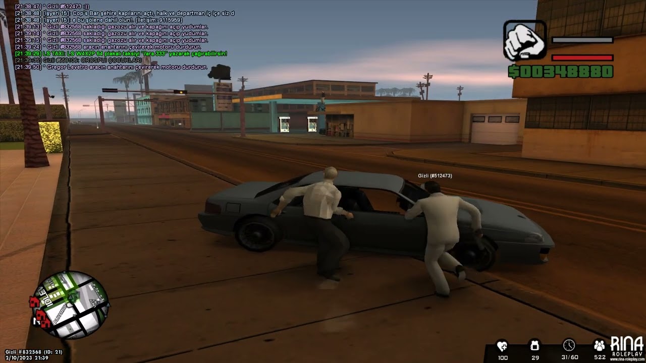 beyinsel problemlerimiz var (www.rina-roleplay.com)