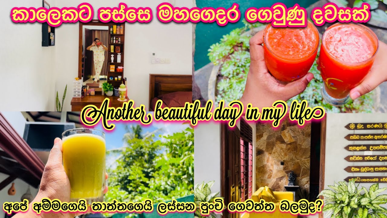 මගේ මහගෙදර දවසක්💛 අම්මගෙයි තාත්තගෙයි පුංචි ගෙවත්ත🪴 cooking | relaxing | familytime | peace | love