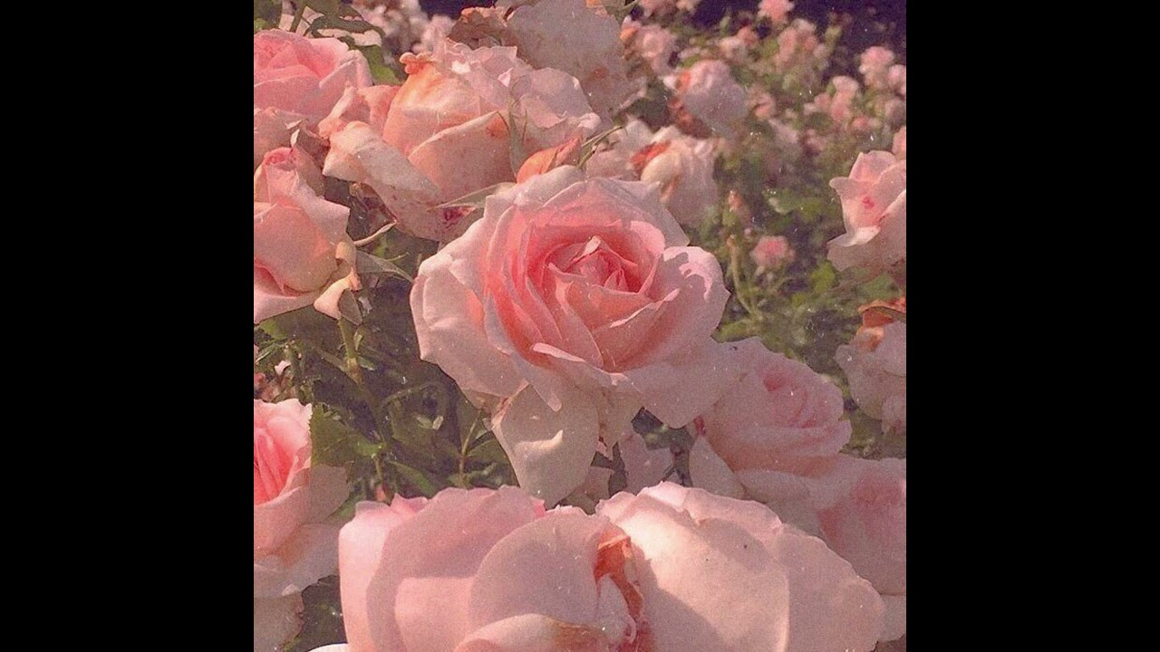 Whitney Houston  -  I have nothing (SPED UP)