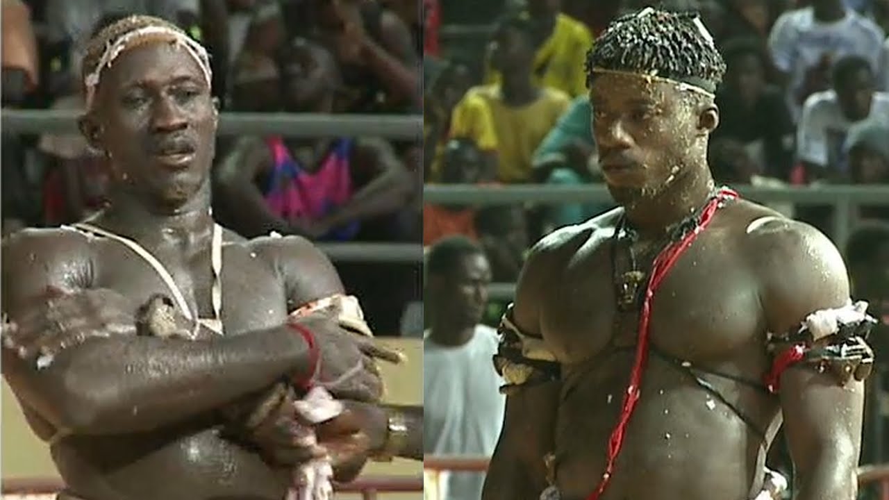 Combat Ada Fass vs Tapha Mbeur du 31 octobre 2021 - Reportage Tapha Gueye et Lamine Lutte TV