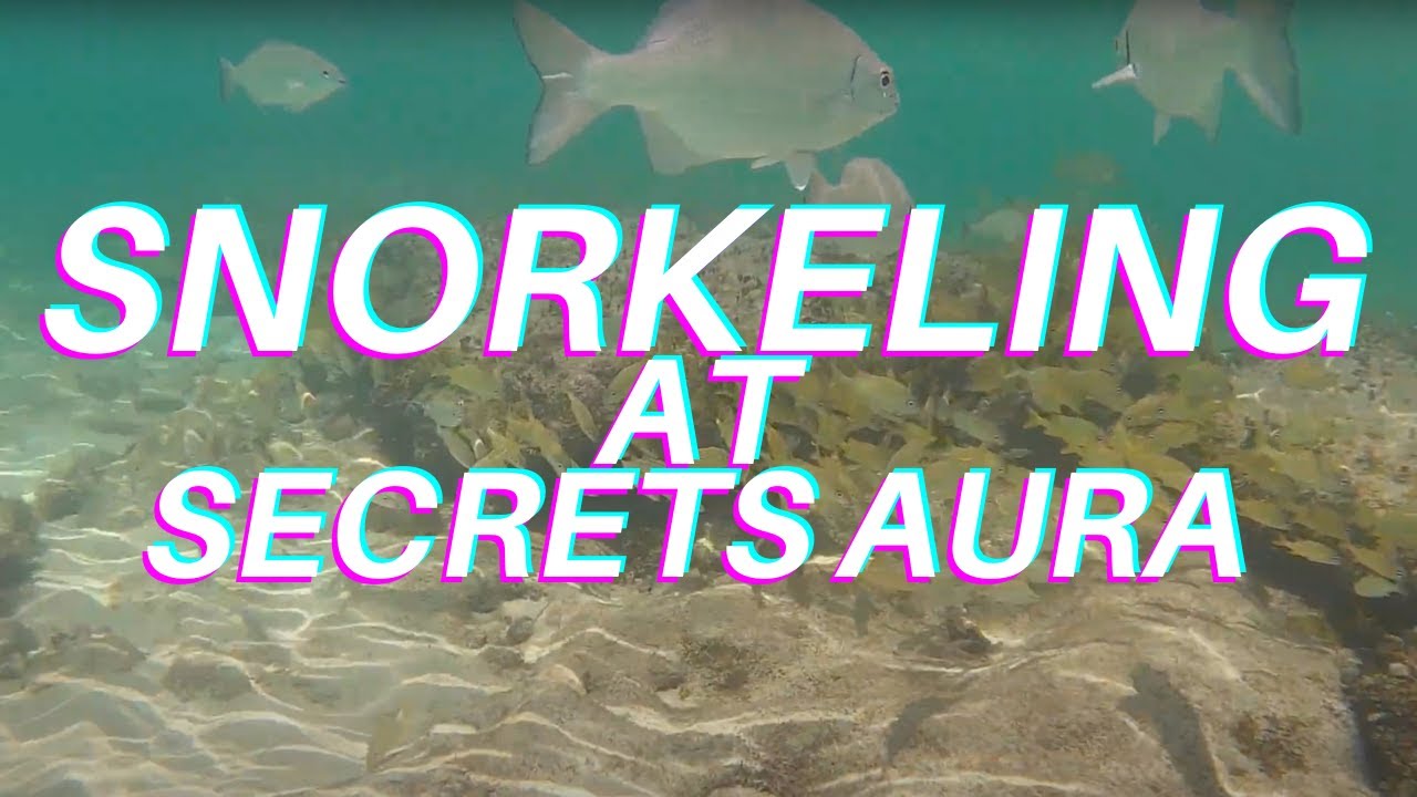 Snorkeling at Secrets Aura Cozumel and Sunscape Sabor