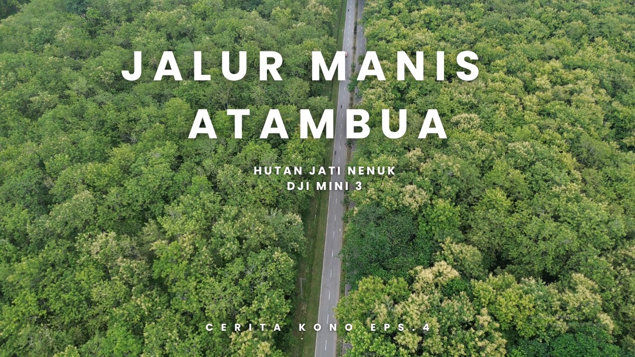 HUTAN JATI NENUK