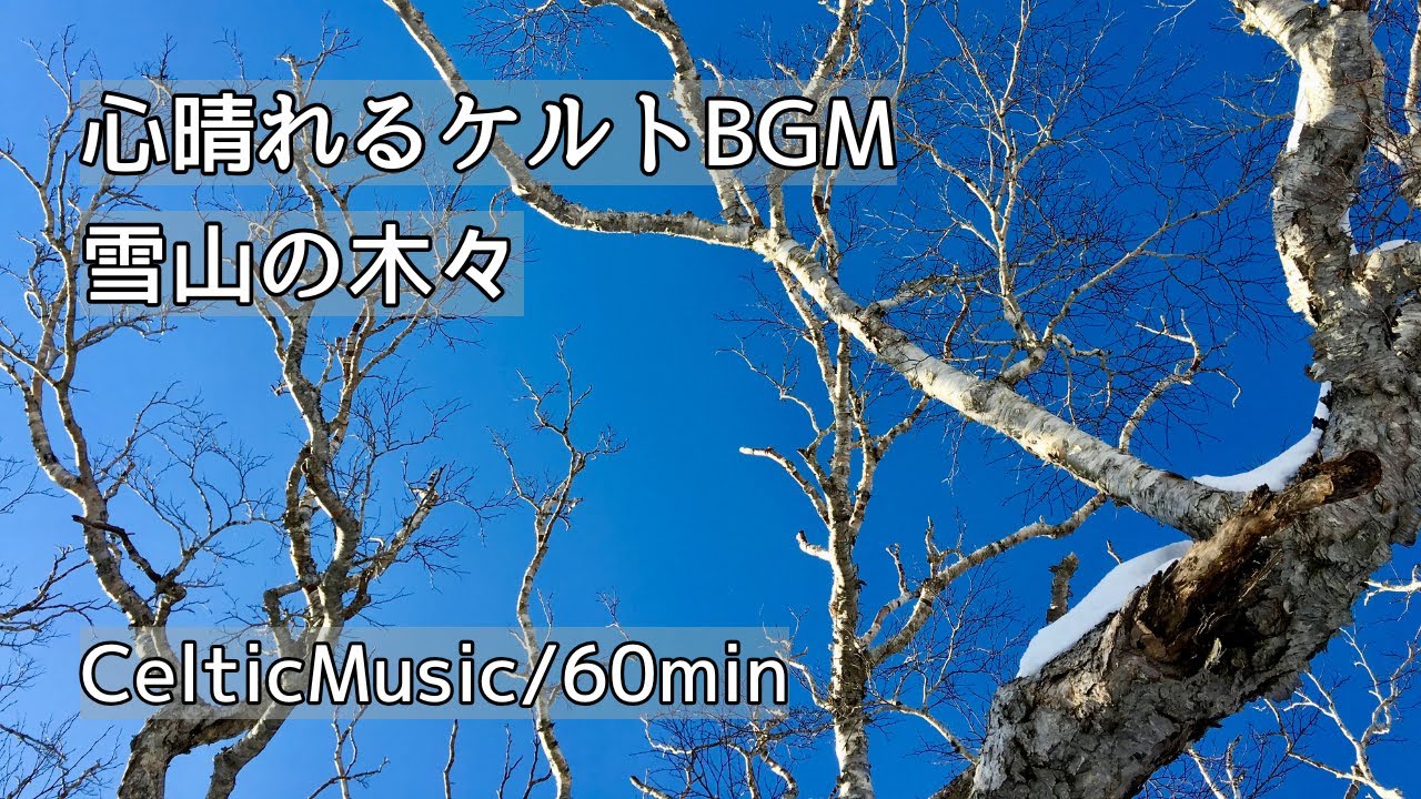 【心晴れるケルトBGM】雪山の木々｜ 澄み渡る青空と心も晴れる穏やかな響き ｜ リフレッシュ・リラックス・作業用